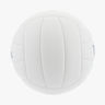 Wilson AVP Soft Play Voleyball