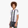 adidas Messi