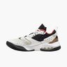Jordan Air NFH