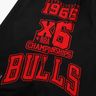 NBA Chicago Bulls