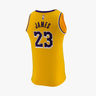 Nike NBA Connected LeBron James