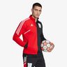 adidas Messi
