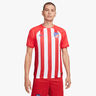 Nike Camiseta Atlético Madrid Local 2023/24