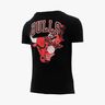 NBA Camiseta Big Back