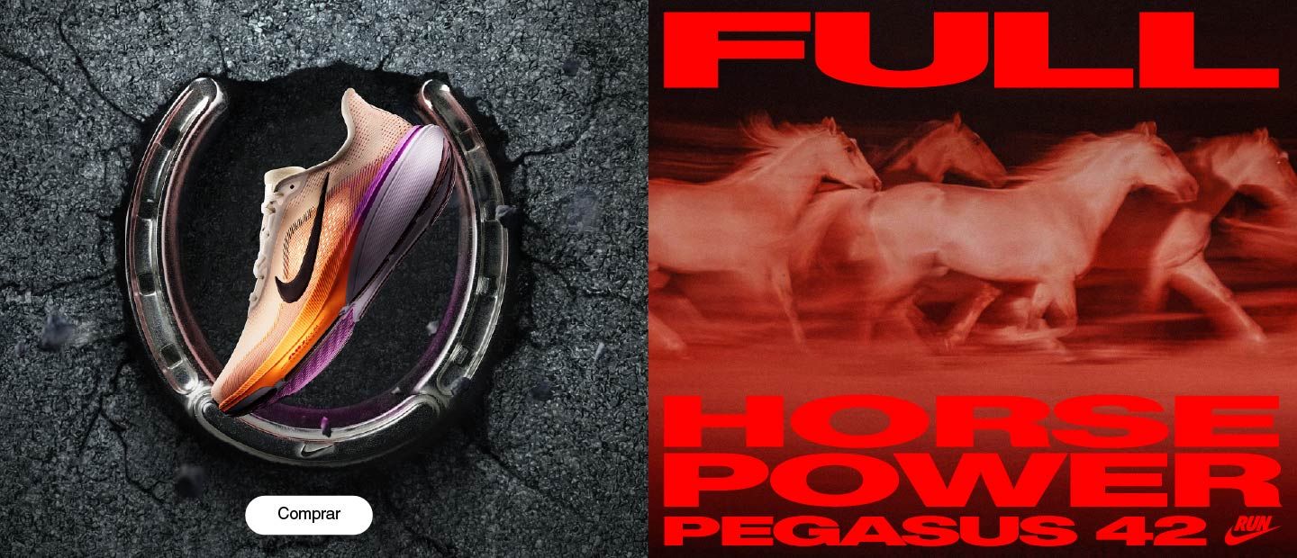 _06.04-RN-Pegasus-Banner-Prin_Desktop-1440x620 (1).jpg