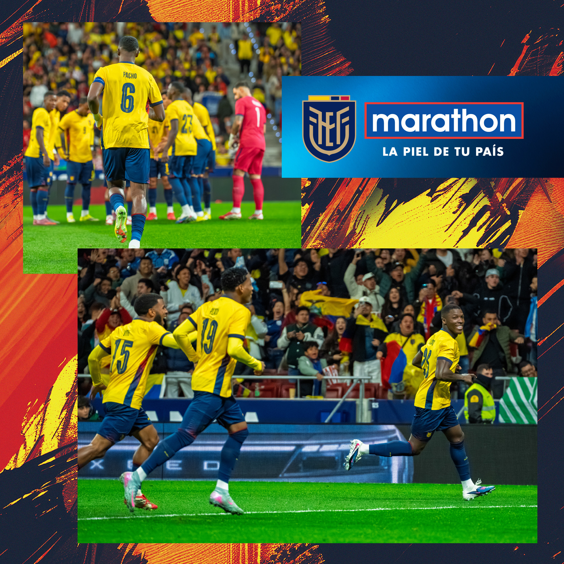 BANNERS Y CARRUSEL_C2-DM.jpg