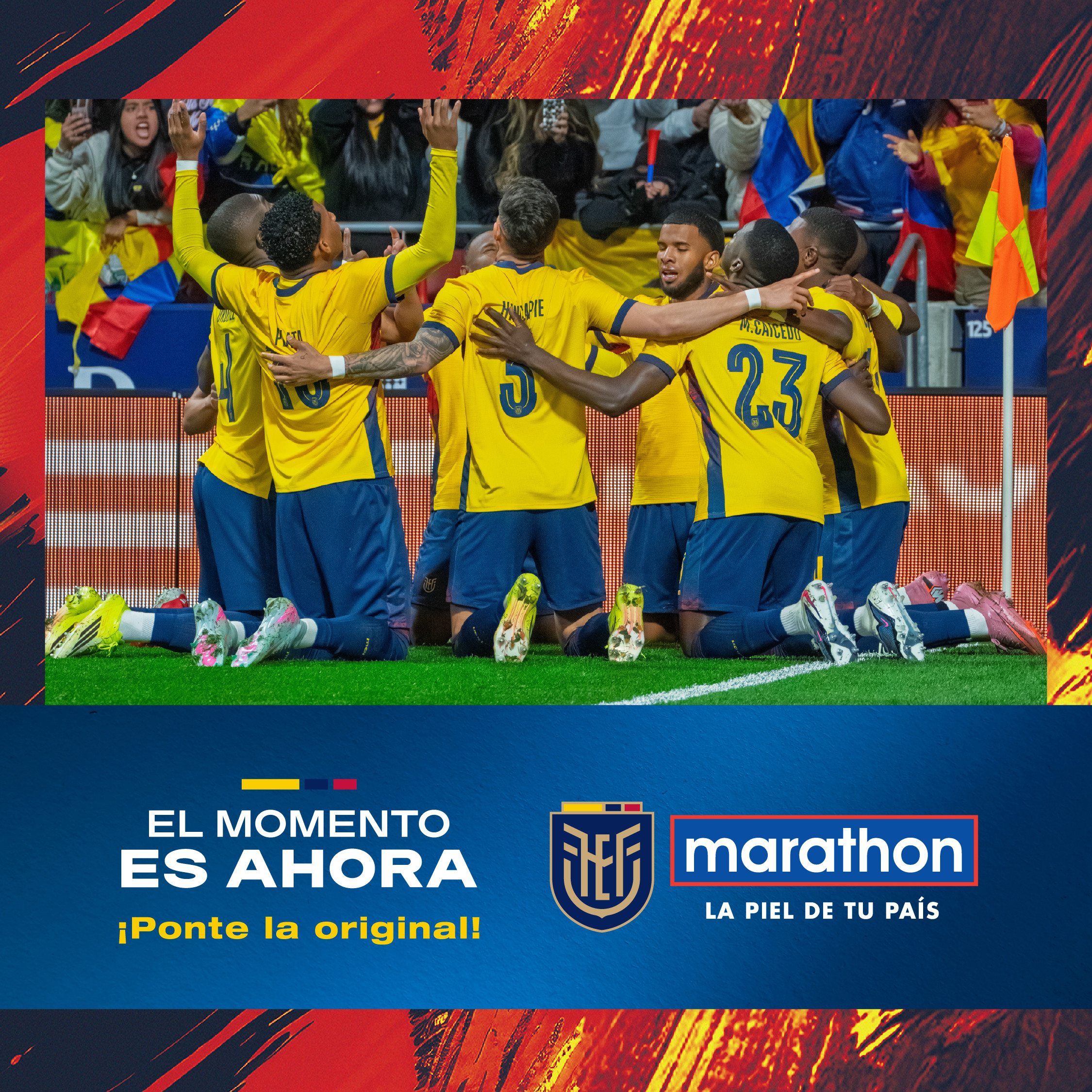 BANNERS Y CARRUSEL_C3-dm.jpg