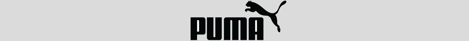 banner puma.jpg