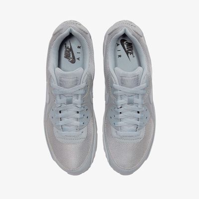 Nike Air Max 90 365