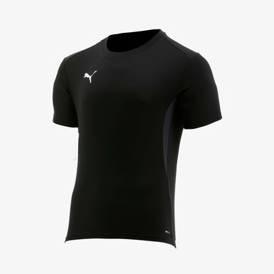 Puma Polo Team