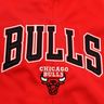 NBA Short Bulls