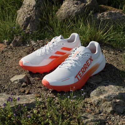 adidas Terrex Agravic 3