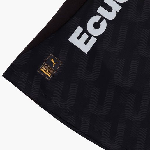 Puma Camiseta LDU Alterna 2 2026