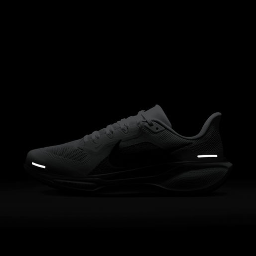 Nike Pegasus 41