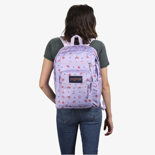 JanSport Big Student