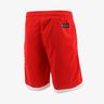 NBA Short Bulls