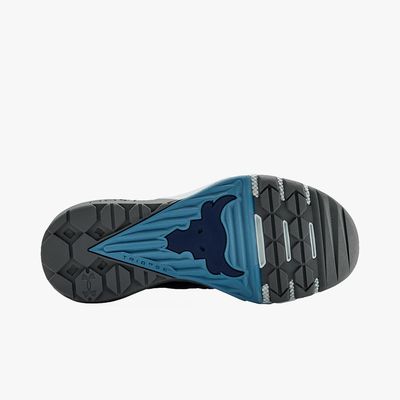Under Armour Project Rock 3