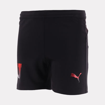 Puma Short LDU Alterna 2 2026