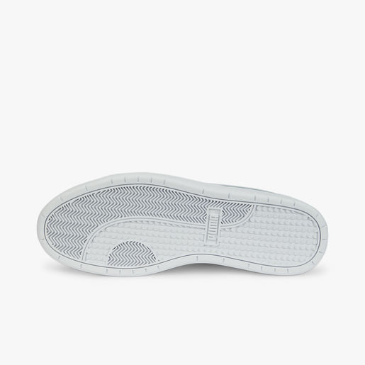 Puma Court Guard