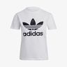 adidas Adicolor Classics Trefoil
