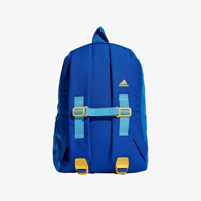 adidas Graphic