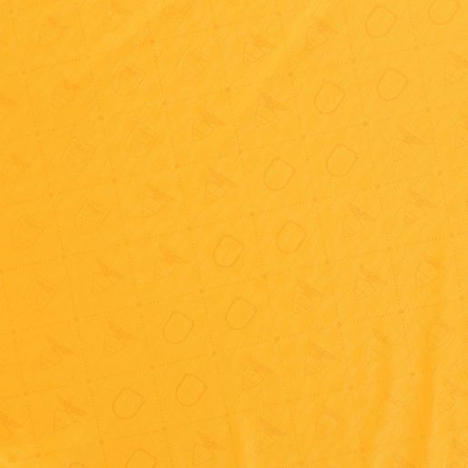 Camiseta FEF Alterna 100 años