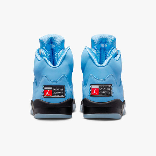 Air Jordan 5 Retro SE