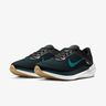 Nike Winflo 10