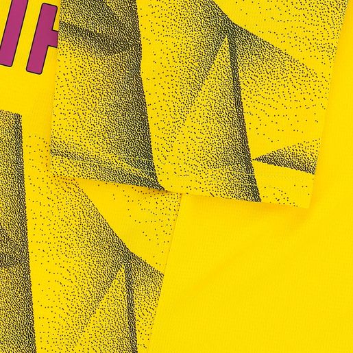 Puma Camiseta Borussia Dortmund Alterna 23/24