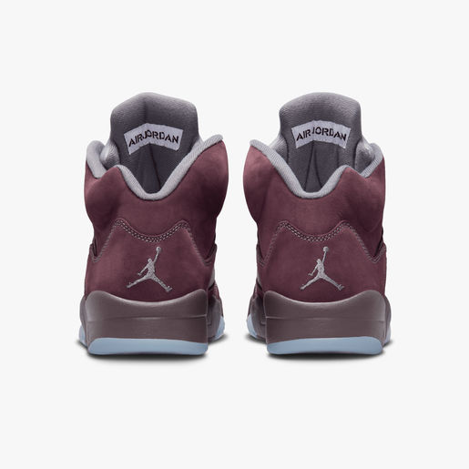 Air Jordan 5 Retro SE
