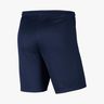 Nike Dri-FIT Park 3