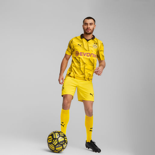 Puma Camiseta Borussia Dortmund Alterna 23/24