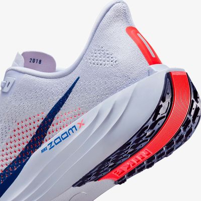 Nike Pegasus Plus