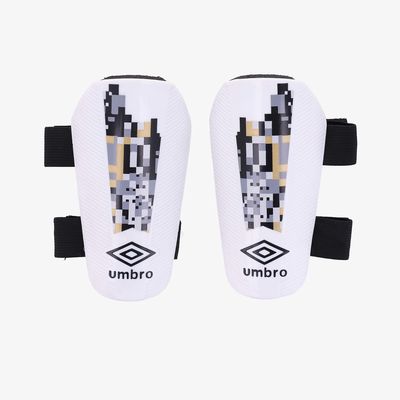 Umbro Canilleras Formation
