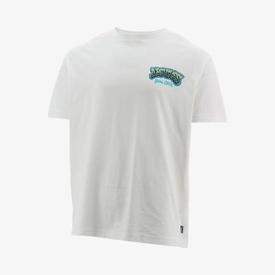 Archives Worldwide Polo Feiger