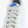 Nike Dunk Low SE