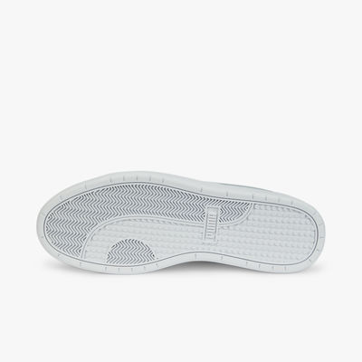 Puma Court Guard