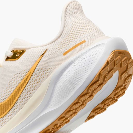 Nike Pegasus 41