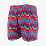 Speedo Rainbow Wave