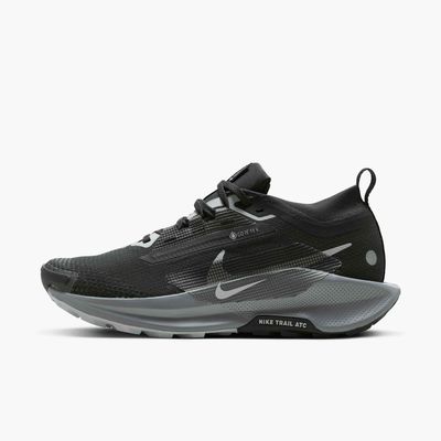 nike pegasus goretex