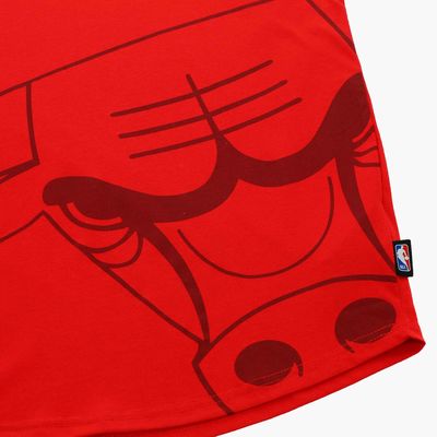 NBA Chicago Bulls