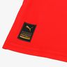 Puma Camiseta Local Suiza 2022