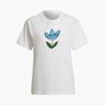 adidas Always Original Graphic