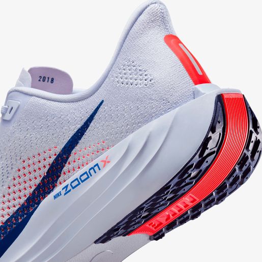 Nike Pegasus Plus