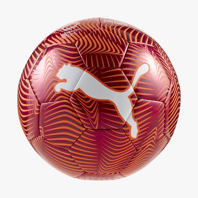 Puma Pelota FINAL Graphic