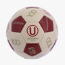 Pelota Universitario Entrenamiento