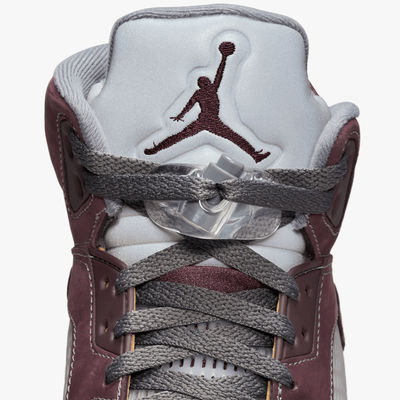 Air Jordan 5 Retro SE