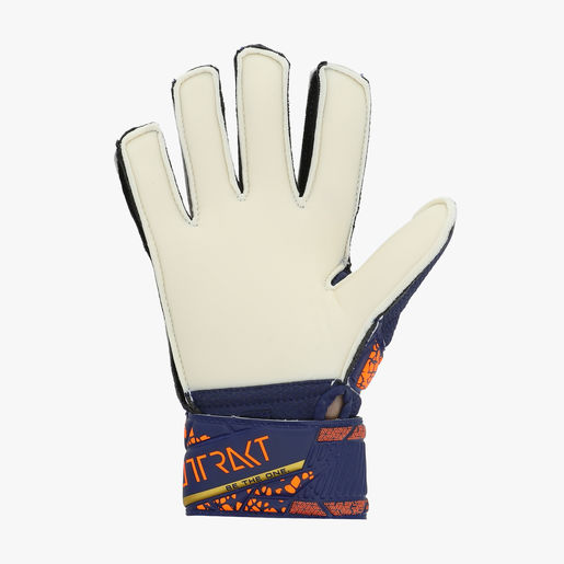 Reusch Attrakt Solid