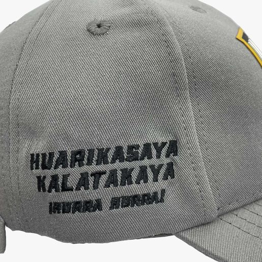 The Strongest Gorra La Fuerza Del Tigre