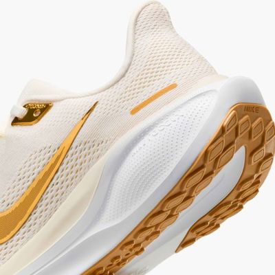 Nike Pegasus 41